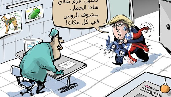 ترامب يصف الديمقراطيين بالمجانين - سبوتنيك عربي