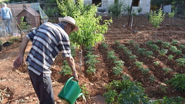 اللبنانيون يتجهون للزراعة بسبب كورونا وتفاقم الأزمة الاقتصادية  - سبوتنيك عربي