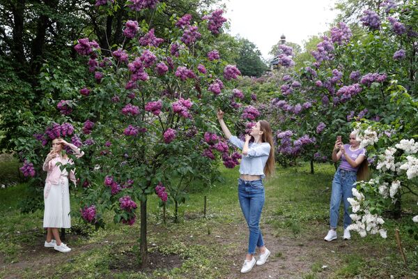 فتيات يلتقطن صورا لأزهار أشجار الليلك الأرجوانية في حديقة عامة، بعد تخفيف القيود المفروضة على البلاد بسبب جائحة كورونا والسماح بالخروج والتنزه في مدينة كييف، أوكرانيا 18 مايو 2020 - سبوتنيك عربي