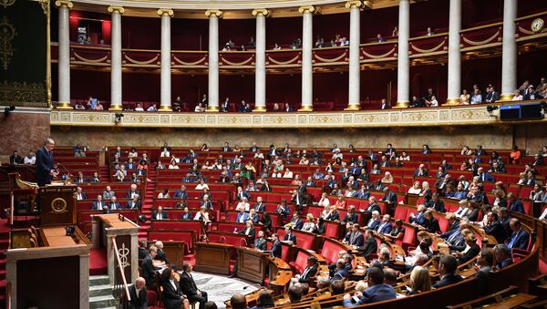 البرلمان الفرنسي - سبوتنيك عربي
