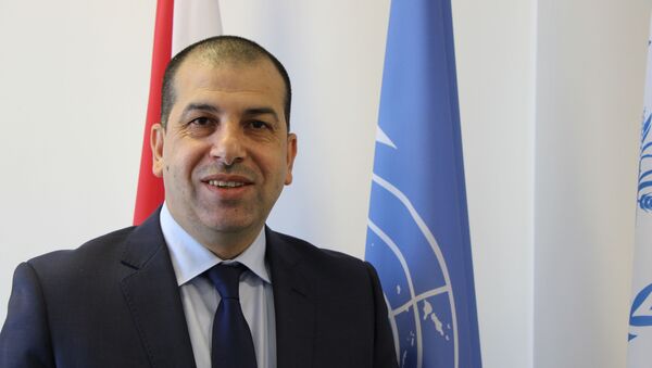 مدير قطري لبرنامج الغذاء العالمي وممثله في لبنان، عبد الله الوردات - سبوتنيك عربي