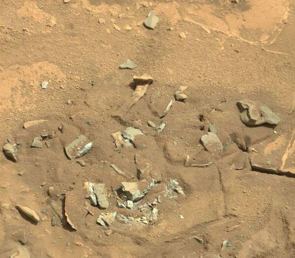 المركبة المتجولة على المريخ كيوريوسيتي روفر (كيوريوسيتي روفر) التقطت هذه الصورة بعدستها ماست كام.  قد تبدو صخرة المريخ هذه مثل عظم الفخذ. ويعتقد أعضاء فريق البعثة العلمية أنها تكونت على الأرجح بفعل عوامل التعرية إما الرياح أو الماء. - سبوتنيك عربي