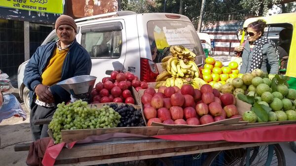 Fruits vendor at the new spot in Delhi's Mehrauli constituency - سبوتنيك عربي