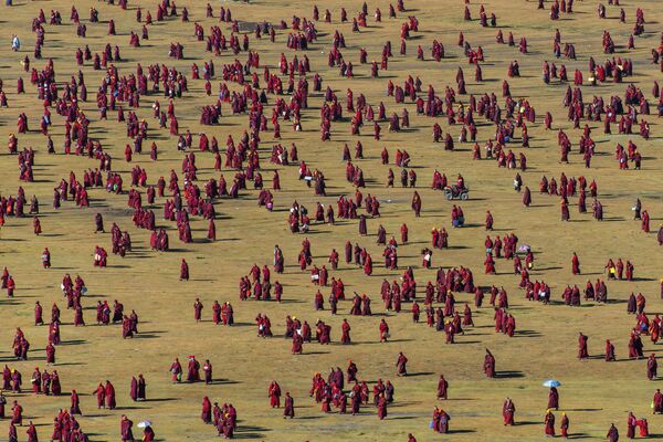 صورة بعنوان نمط الحياة البرية في التبت، للمصور شينيا إتاهانا، ضمن القائمة القصيرة من مسابقة التصوير صورة الإنسانية لعام 2020 - سبوتنيك عربي