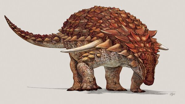 ديناصور أنكيلوصور - سبوتنيك عربي
