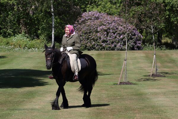 ملكة بريطانيا إليزابيث الثانية تركب فرس قزم في منتزه هوم بارك، في ظهور لها (تاريخ الصورة غير معروف) بعد تفشي فيروس كورونا في بريطانيا، أصدرت الصورة في 31 مايو 2020 - سبوتنيك عربي