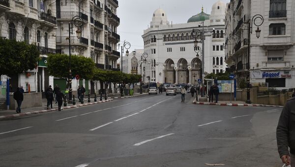 الجزائر العاصمة - سبوتنيك عربي