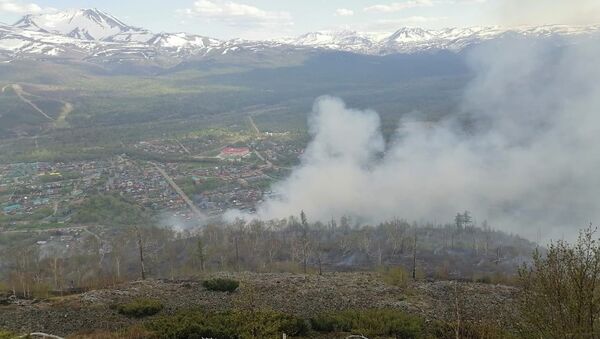 حرائق في غابات كامتشاتكا، روسيا 18 يونيو 2020 - سبوتنيك عربي