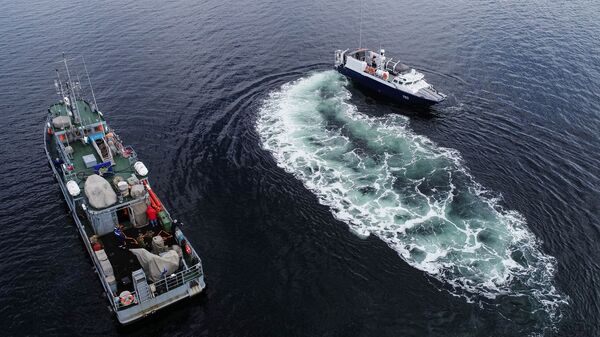 تدريبات طواقم البحث والإنقاذ التابعة لأسطول الشمال في بحر بارنتس، روسيا  ، 18 يونيو 2020 - سبوتنيك عربي