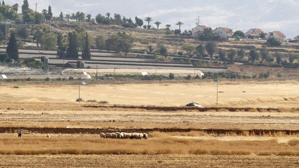 مستوطنات الضفة الغربية المحتلة، مستوطنة باكوت بالقرب من غور الأردن، 18 يونيو 2020 - سبوتنيك عربي