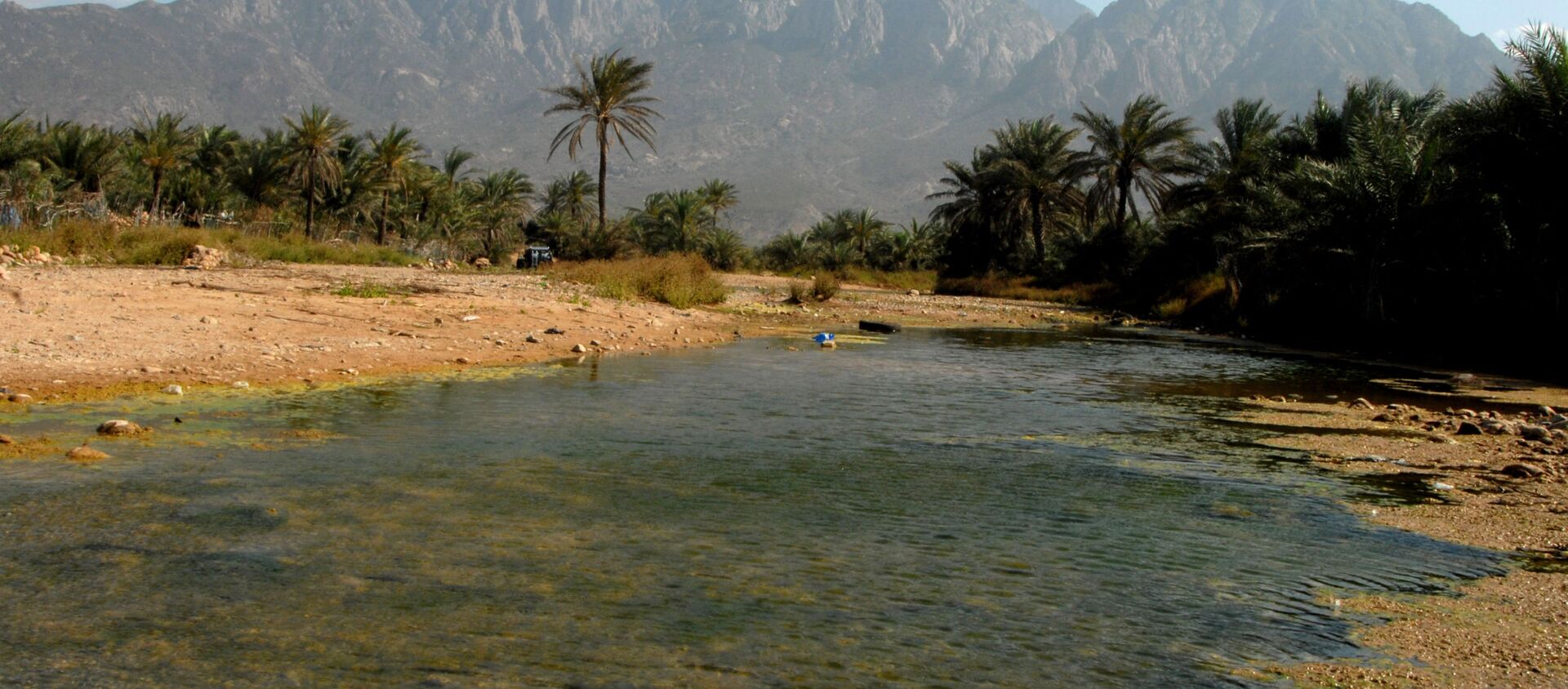 جزيرة سقطرى، اليمن 2008 - سبوتنيك عربي, 1920, 01.08.2021