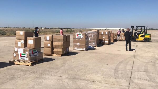 طائرة خاصة إماراتية، تصل ظهر اليوم، إلى مطار بغداد الدولي، محملة 10 أطنان، ونص من المساعدات الطبية، العراق - سبوتنيك عربي