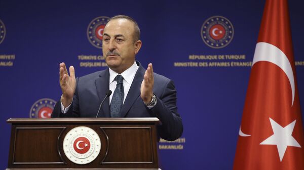 وزير الخارجية التركي، مولود جاويش أوغلو، 19 يونيو 2020 - سبوتنيك عربي