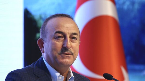وزير الخارجية التركي، مولود جاويش أوغلو، 20 يونيو 2020 - سبوتنيك عربي