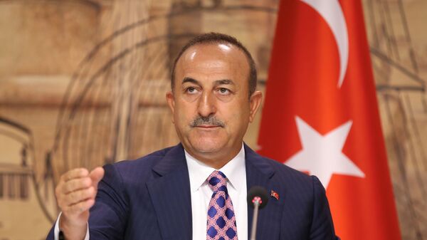 وزير الخارجية التركي، مولود جاويش أوغلو، اسطنبول، تركيا 15 يونيو 2020 - سبوتنيك عربي