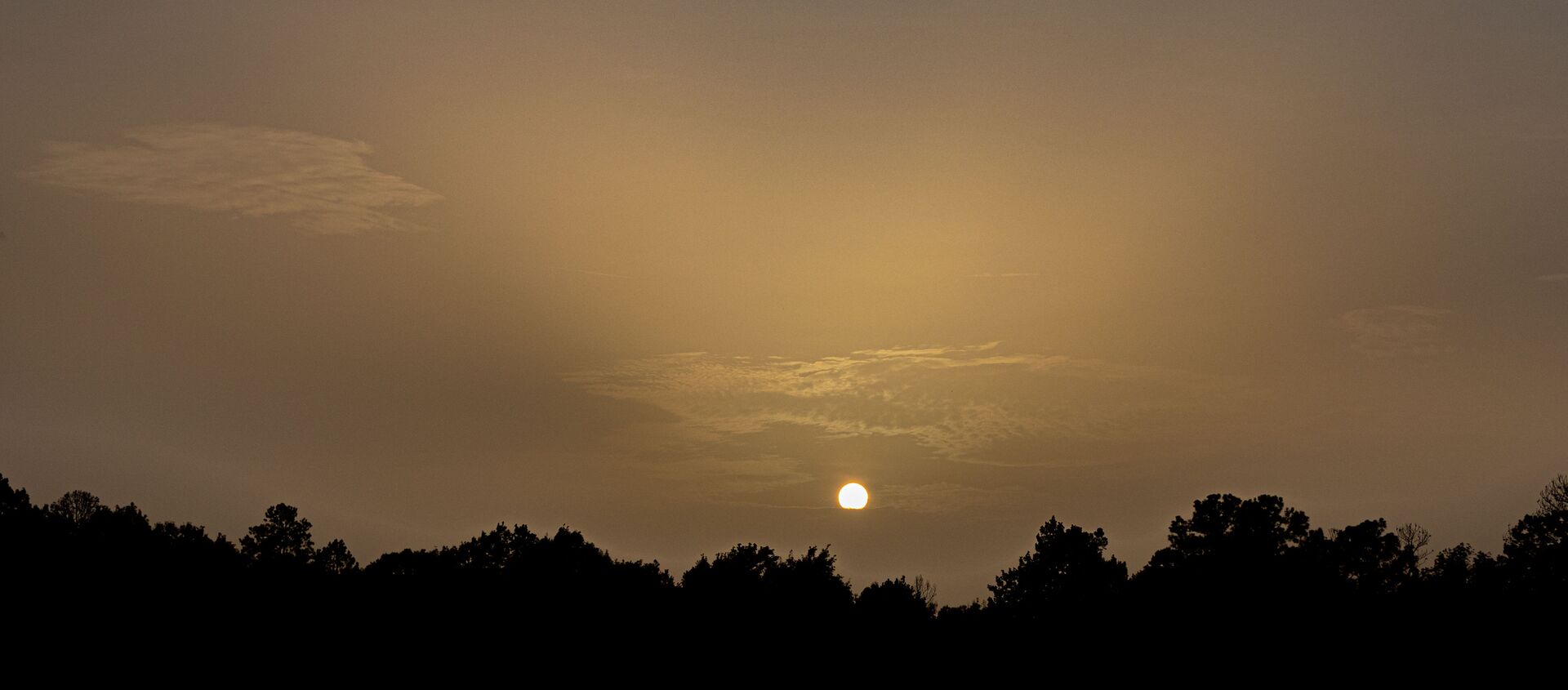  غروب الشمس على خلفية العاصفة الرملية، 26  يونيو 2020 - سبوتنيك عربي, 1920, 10.10.2020