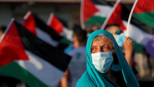 مظاهرات ضد خطة الضم الإسرائيلية، المستوطنات، أريحا، الضفة الغربية، 27 يونيو 2020 - سبوتنيك عربي