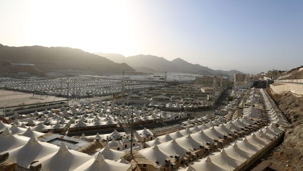 مكة، جبل عرفة، المملكة العربية السعودية يونيو 2020 - سبوتنيك عربي