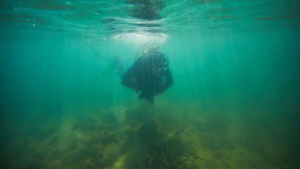 علماء آثار وباحثون من جامعة فليندرز وجامعة ويسترن أستراليا وجامعة جيمس كوك يستكشفون مواقع تحت البحر، تعود إلى آلاف السنين عندما كان قاع البحر أرضا جافة، في أستراليا، 2019. - سبوتنيك عربي