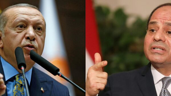 الرئيس المصري عبد الفتاح السيسي، ونظيره التركي رجب طيب أردوغان، مصر، تركيا 22 يونيو 2020 - سبوتنيك عربي
