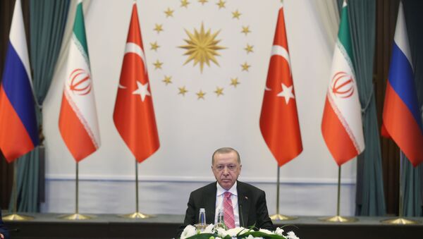 الرئيس التركي رجب طيب أردوغان،  يونيو 2020 - سبوتنيك عربي