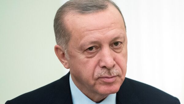 الرئيس التركي رجب طيب أردوغان،  يونيو 2020 - سبوتنيك عربي