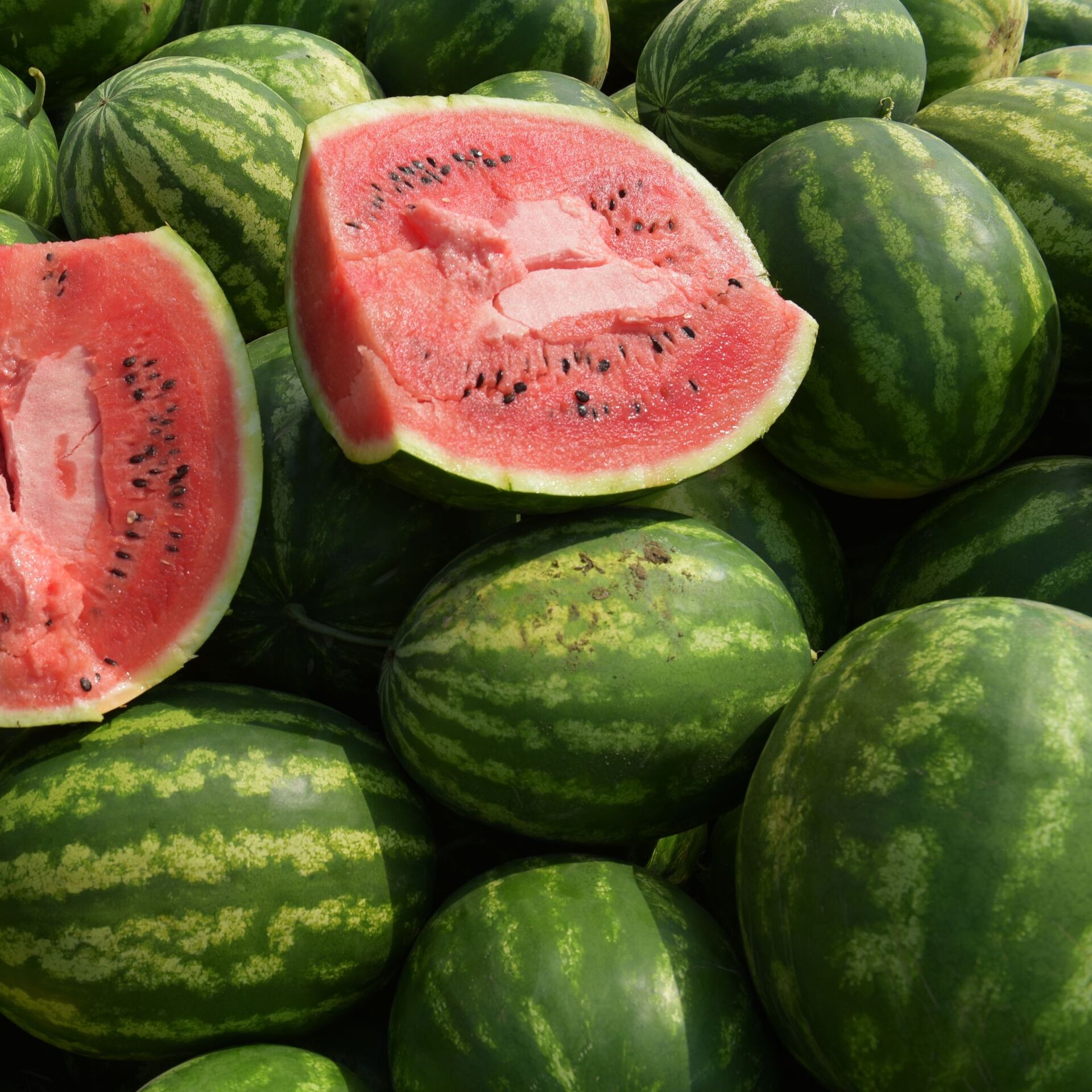 Für diese Menschen ist das Essen von Wassermelone verboten – 20.08.2020, Sputnik Arabisch